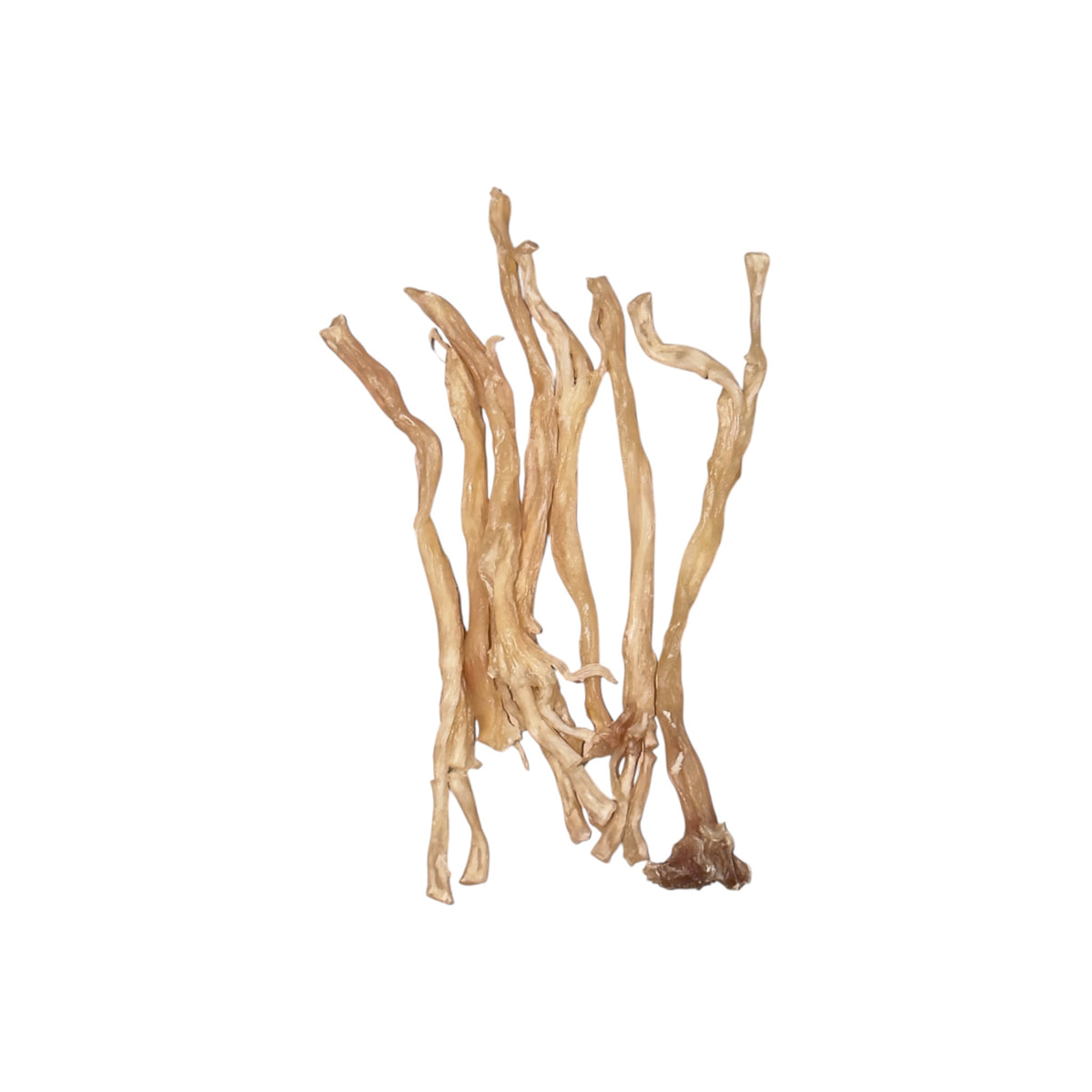 Pork Tendons (Dehydrated)